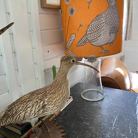 The Den At Gate 펜션 Husthwaite