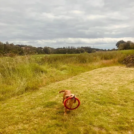 펜션 The Den At Gate Husthwaite