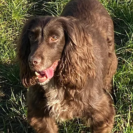 The Den At Gate * Husthwaite