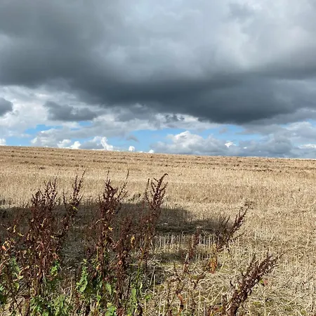 펜션 The Den At Gate *