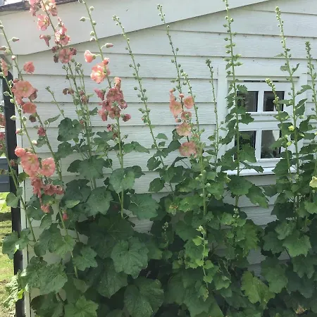 펜션 The Den At Gate *