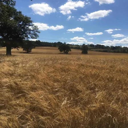 The Den At Gate 펜션 Husthwaite