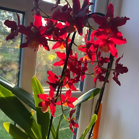 펜션 The Den At Gate Husthwaite